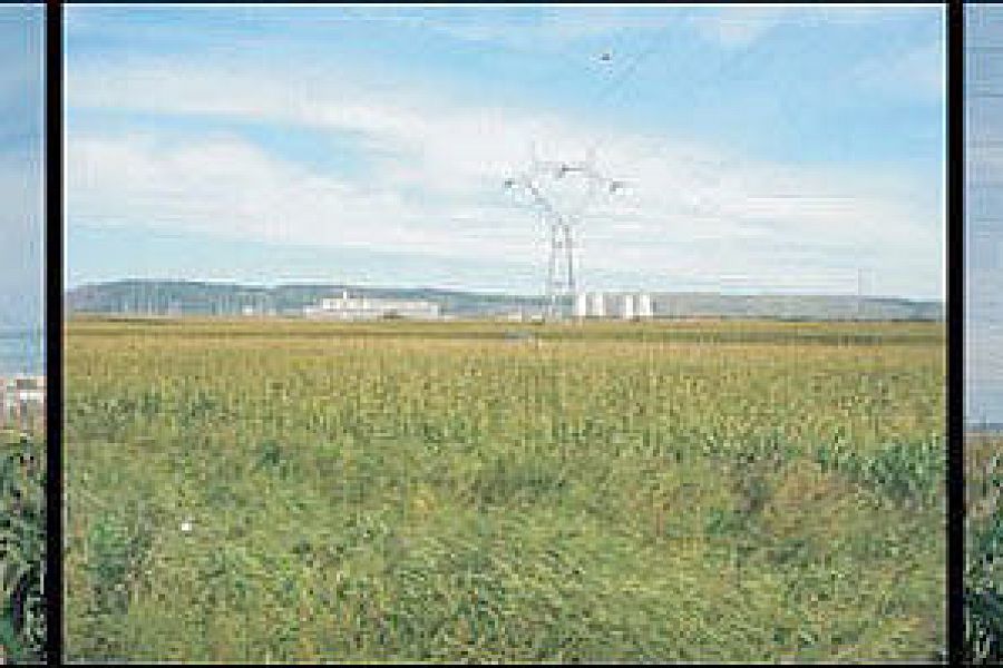 LEA 220 kV Iernut-Ungheni ale Transelectrica