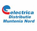 Electrica Distribuție Muntenia Nord